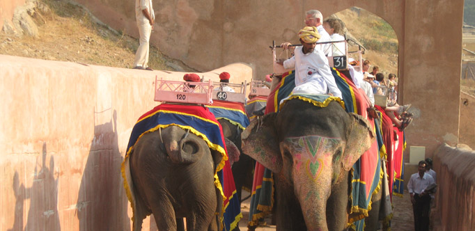 Elephant ride in Jaipur with Tour Guide & Driver