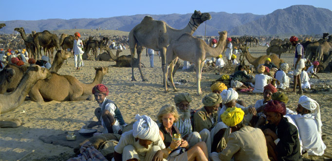 Pushkar cattle fair with Tour Guide & Driver