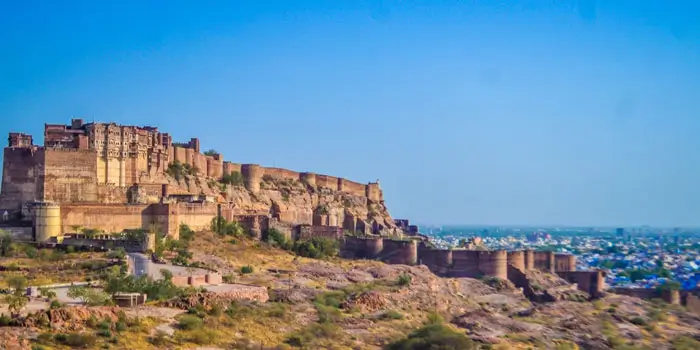 The Man Behind India Personal Tours