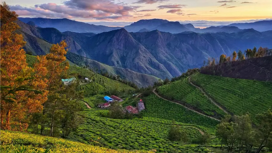Private South India Tour Package: Cost, Hotels & Driver