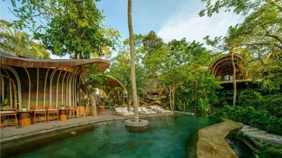 Best Luxury Eco-Friendly & Sustainable Travel Packages in India