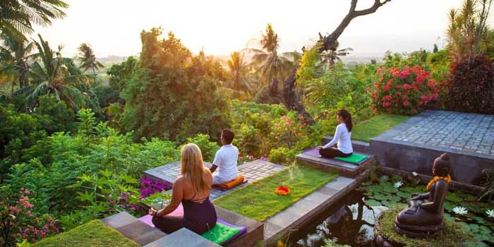 Yoga and Wellness Retreats: Private Tours for Mind and Body