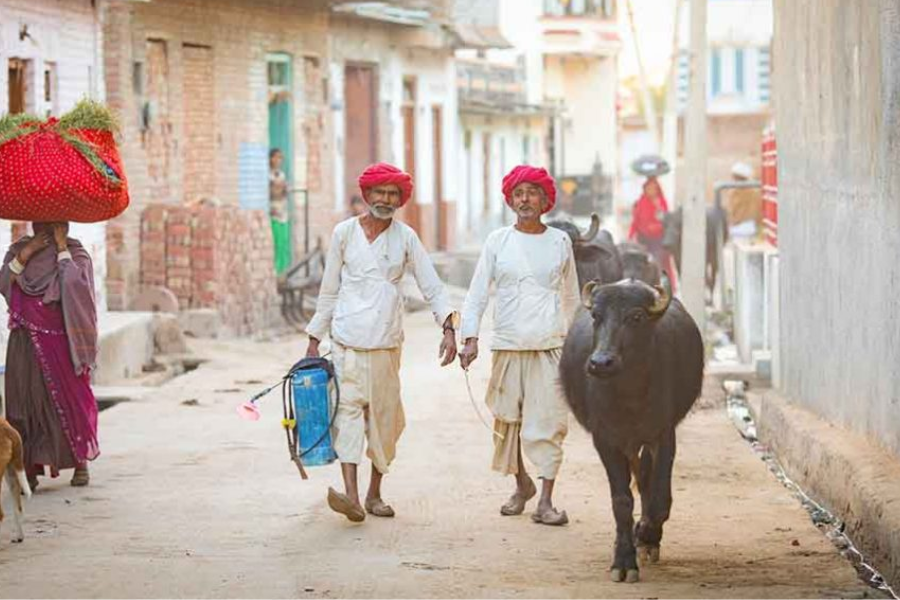 Rural Tours