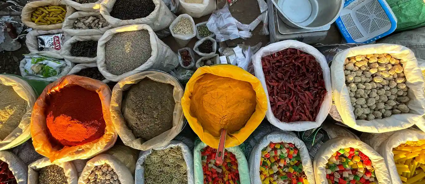 Rajasthan & South India Culinary Tour – Food Journey