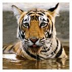 Golden Triangle with Ranthambore & Mumbai