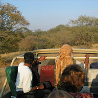 Ranthambore India Wildlife Tour Guide & Driver